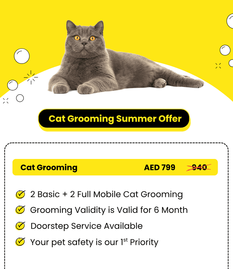 Your_pet_safety_is_our_1st_Priority_1_1_optimized