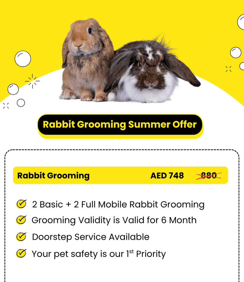 Your_pet_safety_is_our_1st_Priority_2_optimized