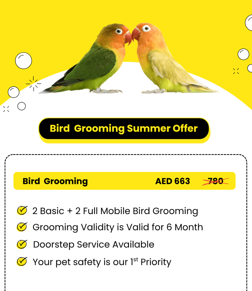 Your_pet_safety_is_our_1st_Priority_3_1_optimized