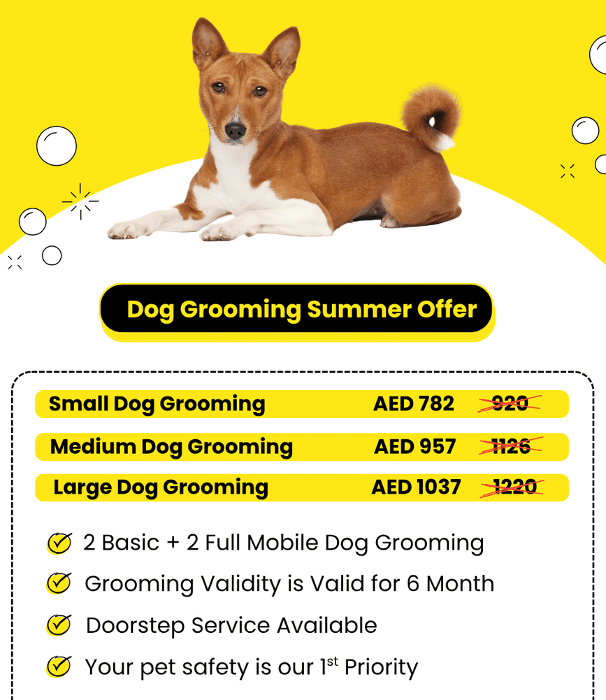 Your_pet_safety_is_our_1st_Priority_4_optimized